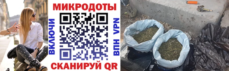 OMG ТОР  Багратионовск  Галлюциногенные грибы GOLDEN TEACHER 